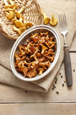 Cantharellus cibarius bilinen cantharellus cibarius