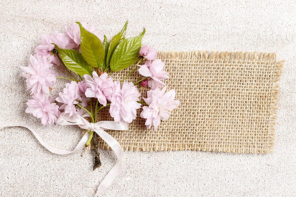 Beautiful flowering almond (prunus triloba) on wooden background