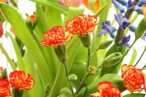 Two Orange Carnations Other Beautiful Spring Flowers Background Party Decor — Fotografia de Stock