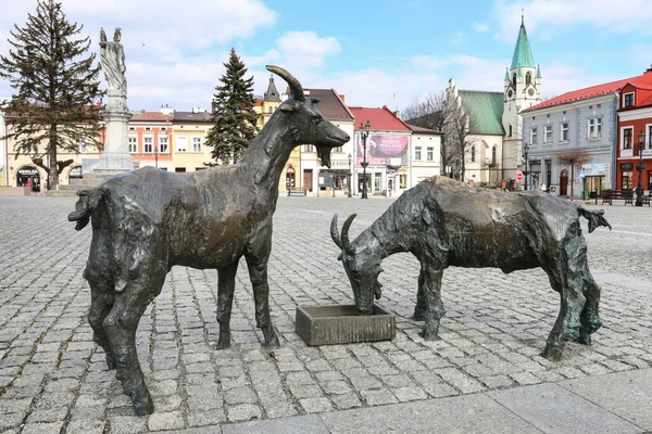 Monumento Las Cabras Plaza Ciudad Vieja Brzesko Polonia — Foto de Stock