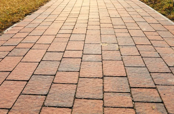 Çimlerin ortasında kaldırımlı yürüyüş yolu. Grafiksel kaynaklar