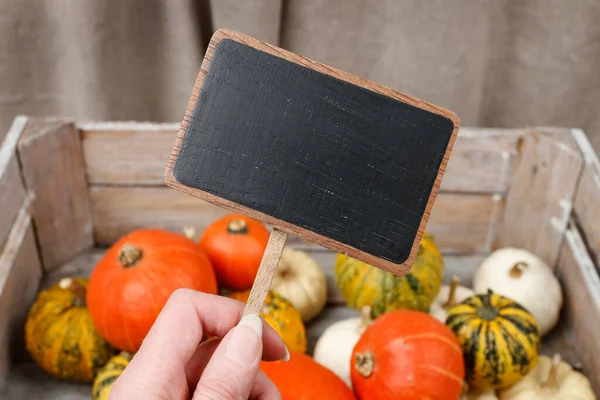 Wooden Box Colorful Pumpkins Autumn Decor — Stock Photo, Image