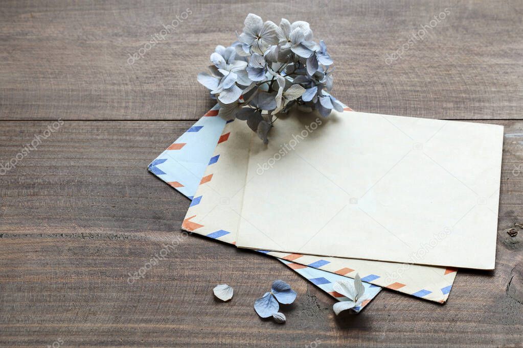 Vintage envelopes and dried hortensia flowers on the table, copy space. Love leters from the past.