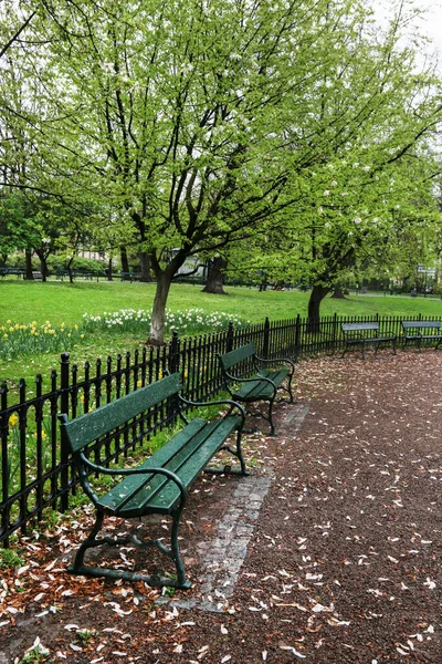 Wooden Bench Public Park Relax Time — Stock Photo, Image