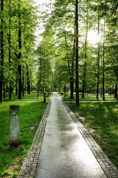 Caminho Parque Público Relaxar Lugar — Fotografia de Stock