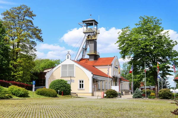 Danilowicz Shaft Salt Mine Wieliczka Poland — Stock Photo, Image