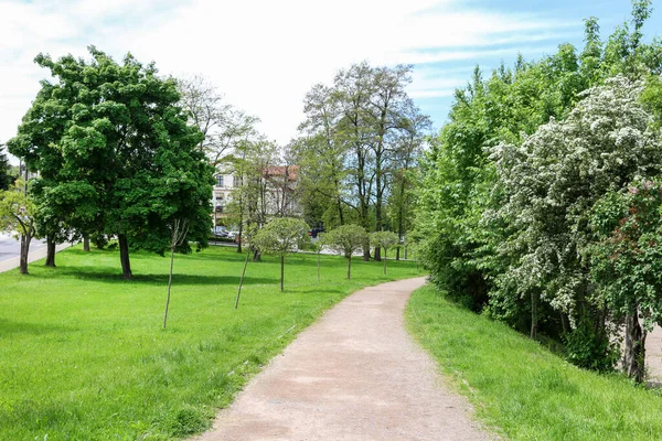 Beautiful City Park Wieliczka Poland — Foto Stock