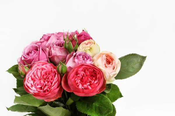 一束粉红色的玫瑰 背景为白色 图形资源 — 图库照片