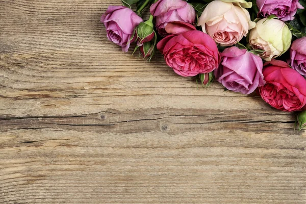 Ahşap arka planda bahçe gülleri, kopyalama alanı. Grafiksel kaynaklar