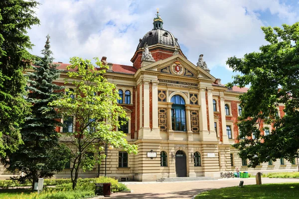 Παλιό Κτίριο Του Πανεπιστημίου Οικονομικών Στην Κρακοβία Πολωνία — Φωτογραφία Αρχείου