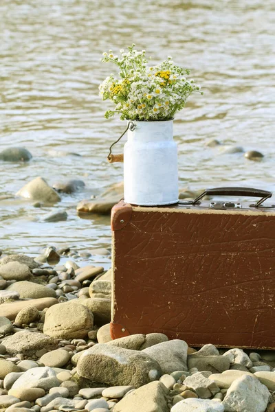 老式罐头中的一束野花 夏季时间 — 图库照片