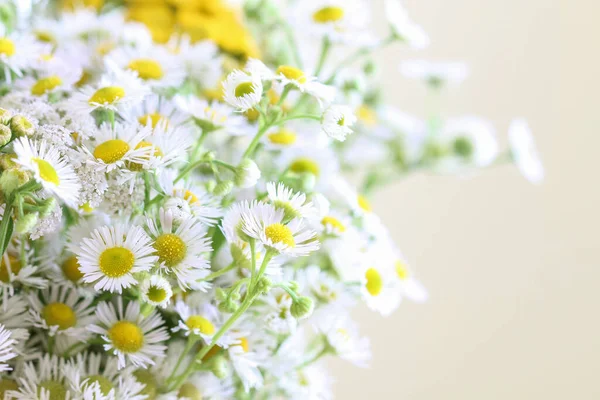 Bouquet Wild Chamomile Flowers Summer Time — Stock Photo, Image