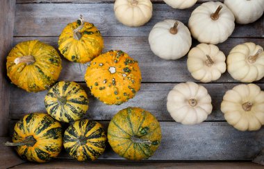 Küçük, renkli balkabaklı ahşap kutu. Sonbahar zamanı