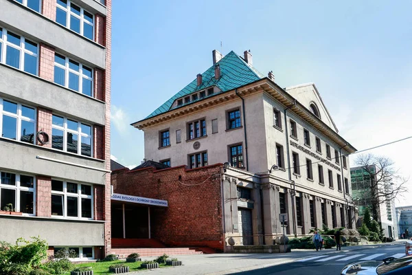 Budynki Uniwersytetu Śląskiego Katowicach — Zdjęcie stockowe