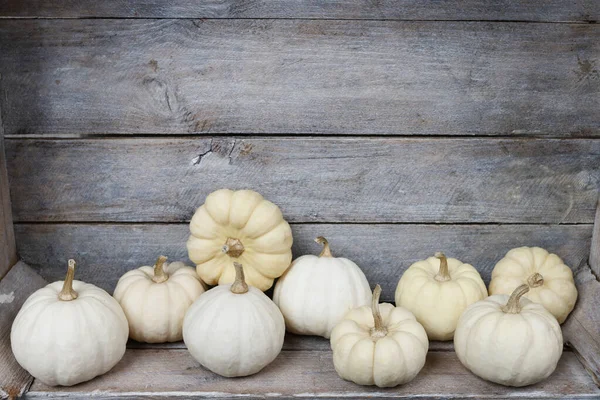 White Pumpkins Baby Boo Wooden Background Copy Space — ストック写真