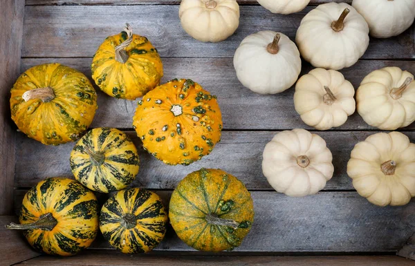 Caja Madera Con Calabazas Pequeñas Coloridas Tiempo Otoño —  Fotos de Stock