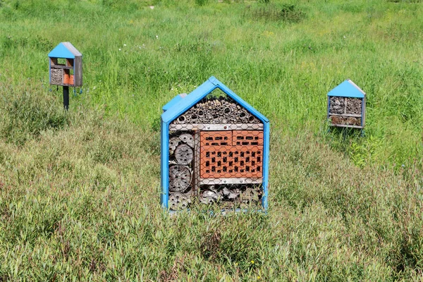 Hoteles Para Insectos Parque Pasatiempo Jardín — Foto de Stock