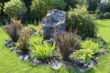 Bitkiler ve taşlarla bahçe süslemesi. Bahçe hobisi