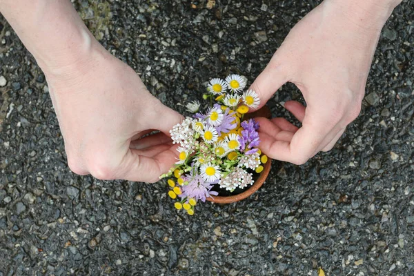 Florist Work Woman Shows How Make Simple Floral Home Decorations — Stock Photo, Image