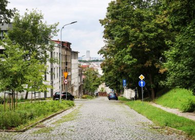 Parktan geçen kaldırımlı bir cadde..