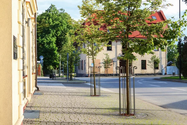 Giovani Alberi Piantati Nella Piazza Del Mercato Zator Polonia — Foto Stock