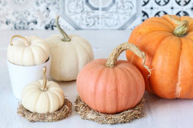 Balkabaklı mevsimlik masa dekorasyonu. Sonbahar zamanı