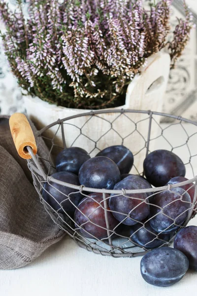 Wire basket with plums and heather (erica) decoration in the background. Autumn fruits