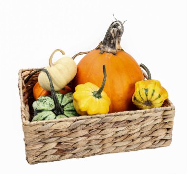 Beyaz arka planda izole edilmiş balkabaklarıyla dolu bir sepet. Sonbahar dekoru