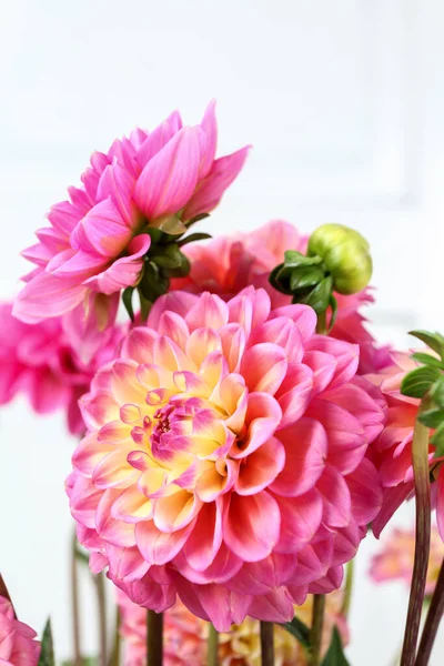 Färgglada Dahlia Blommor Vit Trä Bakgrund Kopiera Utrymme Grafiska Resurser — Stockfoto