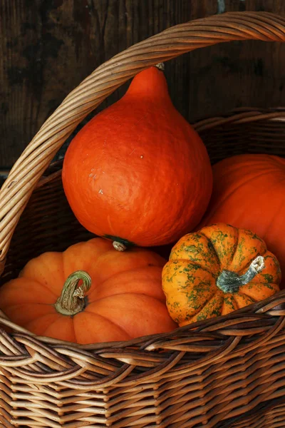 Wicker Baket Orange Pumpkins Autumn Decor — Stock Photo, Image
