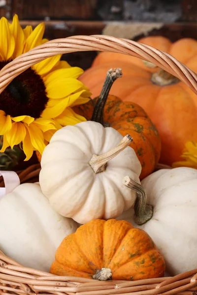 Rieten Mand Met Kleurrijke Pompoenen Herfsttijd — Stockfoto