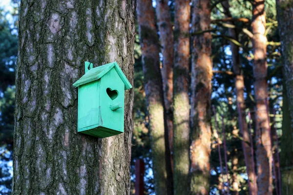 Bird House Garden Hanging Home — Stock Photo, Image