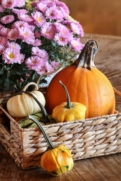 Uma Abóbora Colorida Flores Crisântemo Decoração Tradicional Outono — Fotografia de Stock