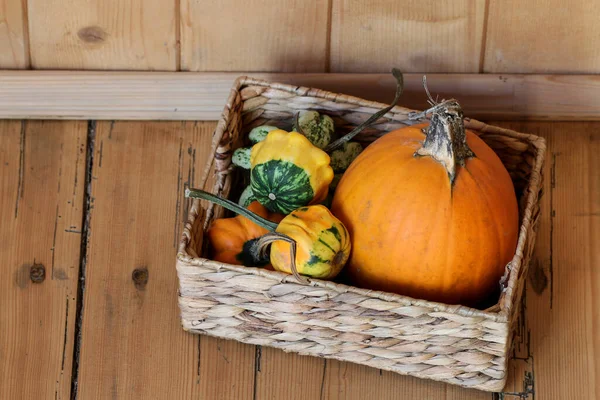 Ein Korb Mit Bunten Kürbissen Auf Hölzernem Hintergrund Herbstdekor — Stockfoto