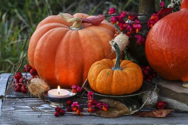 Rustic Autumn Decoration Pumpkins Garden Plants Candles Party Decor — Stock Photo, Image