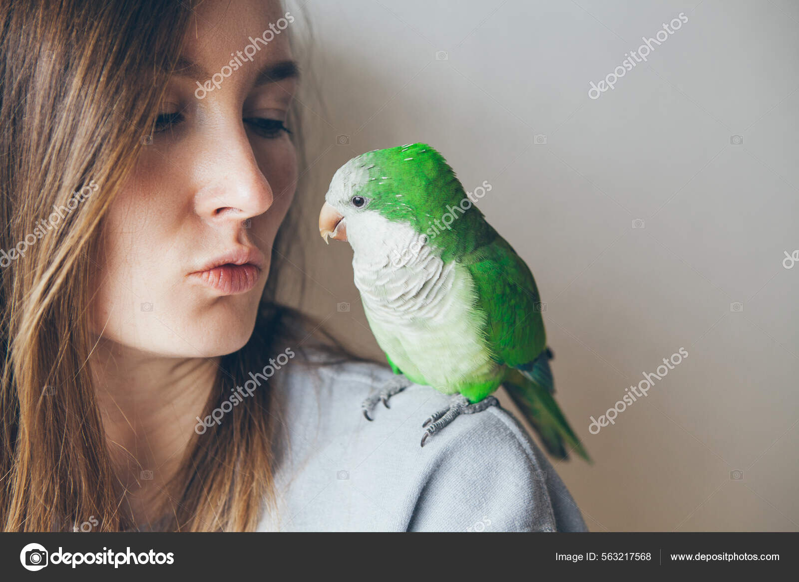 Close Friendly Cute Monk Parakeet Green Quaker Parrot Sitting