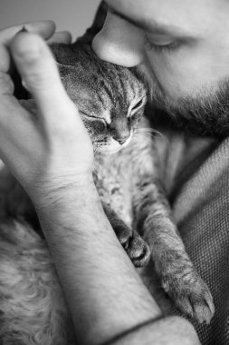 Kedisiyle yakışıklı bir gencin siyah beyaz fotoğrafını kesmiş. Sakallı adam Devon Rex kediciğini tutuyor ve hafifçe okşuyor. Ev hayvanı konsepti. Kedi sahibi ile olmaktan memnun..
