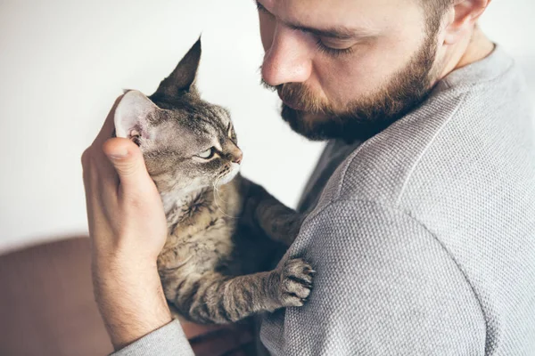 Close Tabby Devon Rex Gato Barba Homem Olhando Para Outro — Fotografia de Stock