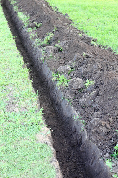 Тень в земле
