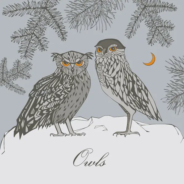 Owls in forest illustration. — Φωτογραφία Αρχείου
