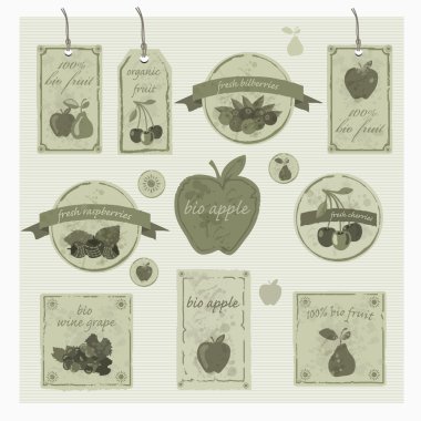 taze organik, biyo etiketleri ve öğeler kümesi. Vintage vektör tasarımı.