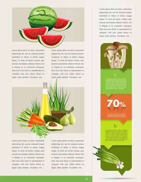 Conception de brochures sur les aliments santé. Bio légumes et fruits. Brochure vecteur de dossier . — Image vectorielle