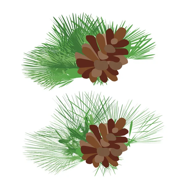 Coni di pino verde con rami. Vettore isolato su sfondo bianco . — Vettoriale Stock