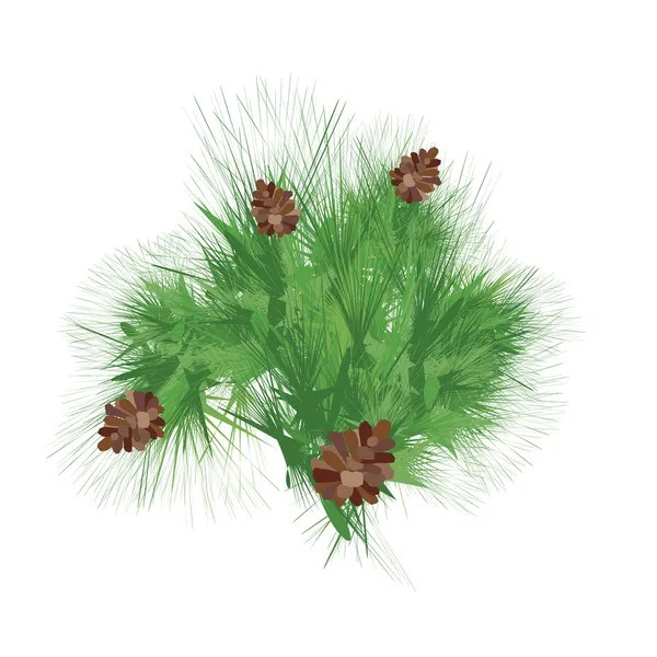 緑の松枝を持つ円錐形。白い背景で隔離のベクトル. — ストックベクタ