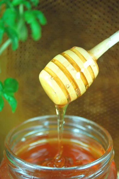 Honey dripping from a wooden honey dipper — Stock Photo, Image