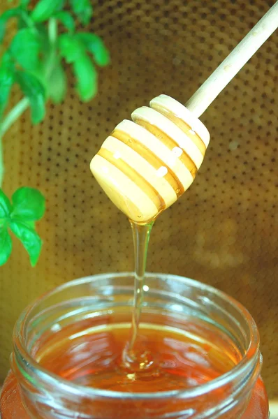 Honey dripping from a wooden honey dipper — Stock Photo, Image