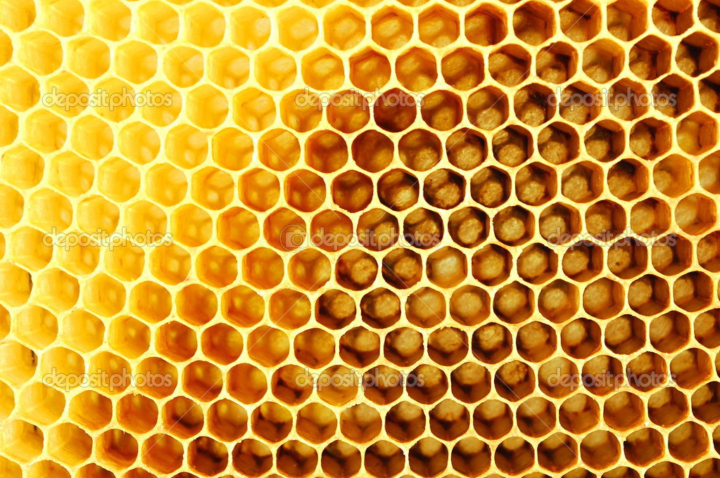 Honeycomb ⬇ Stock Photo Image by © DarioSz #22634967