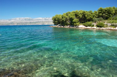 brac Adası, Hırvatistan Adriyatik kumsalda pitoresk doğal görünümü