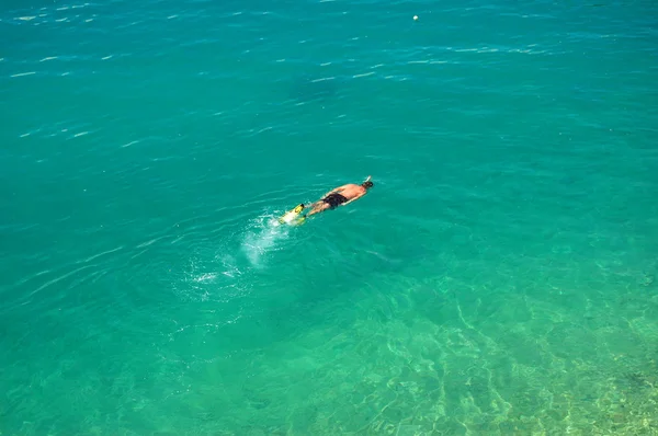 Snorkeller nuota in mare adriatico in croazia — Foto Stock