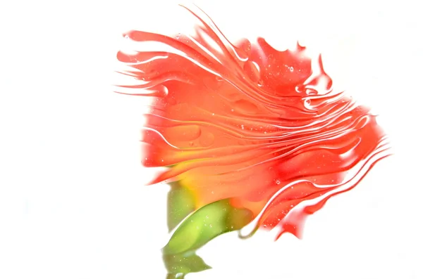 Verschwommene rote Rose isoliert auf weißem Hintergrund — Stockfoto